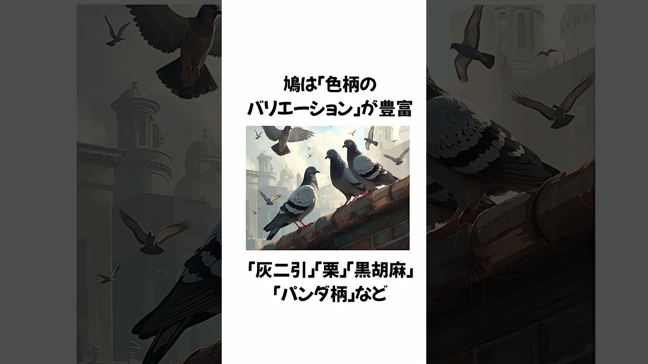 鳩の驚くほど賢い能力