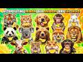 "AFTER EATING LEMON, ALL ANIMALS ARE SHOCKED!" ASMAR VIDEO