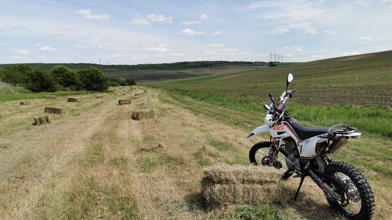 Quik: 25.05.2022 - Sîngera - Dobrogea - Frumuşica