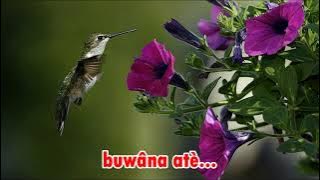 Madurese Love Songs PANGÈSTO  (Cipt : M. Irsyad,  Arr : Adrian Pawitra,  Vocal : M. Ramli)