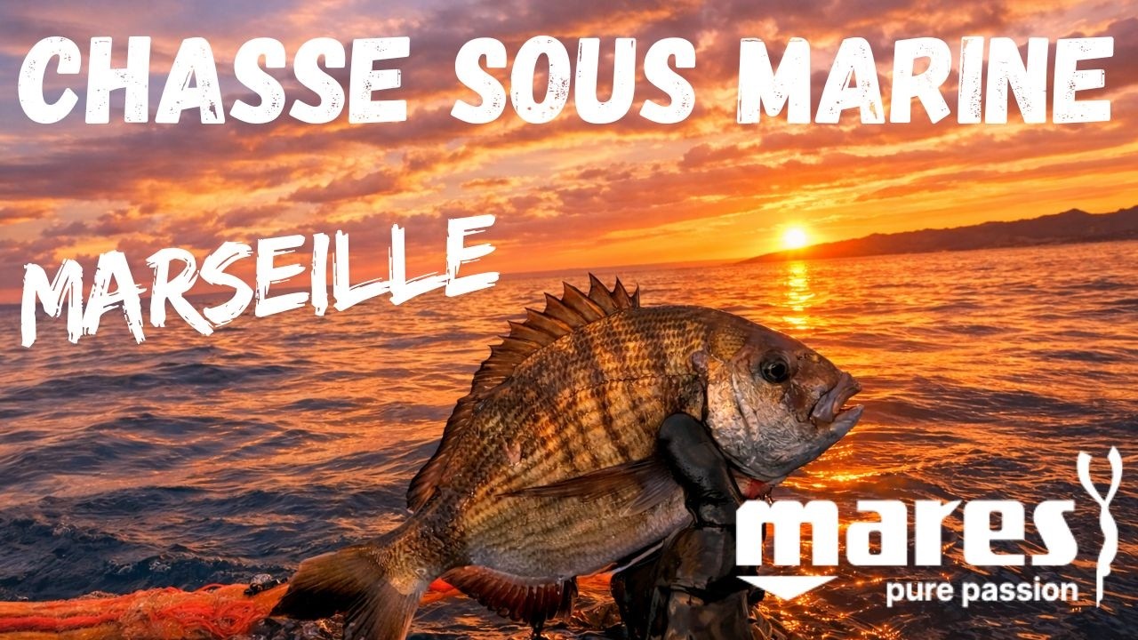 Chasse sous marine Marseille Hiver 2025/2026 - Pescasub / Spearfishing