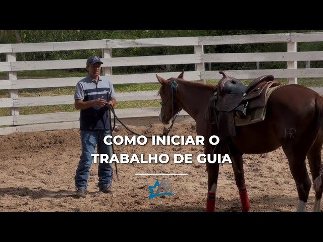 Guia do Aventureiro] Guia de Treinamento de Cavalo