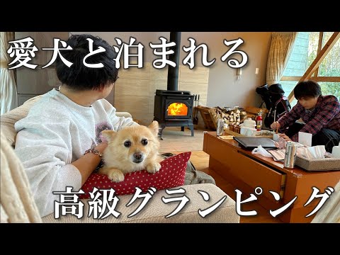【結婚祝い】愛犬と高級グランピングで結婚をお祝いしました!