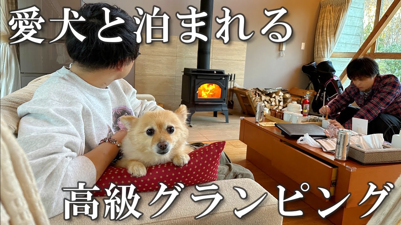 【結婚祝い】愛犬と高級グランピングで結婚をお祝いしました！