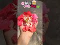 Dumka to Ranibahal #myday #minivlog #love #like #comment #share #shortvlog