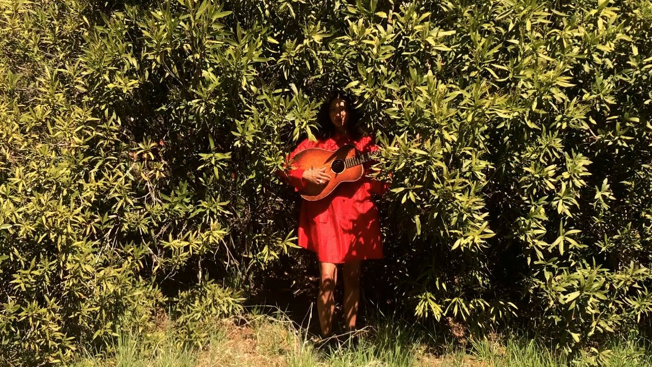 La Luz Here on Earth YouTube