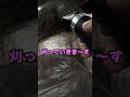 まーさんです 髪切りました