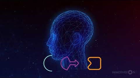 With Immervision, let your device perceive the world as you do.