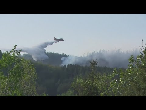 International fire crews coming to the U.S. to help fight wildfires ...