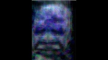 The Seriousness Of Sasquatch