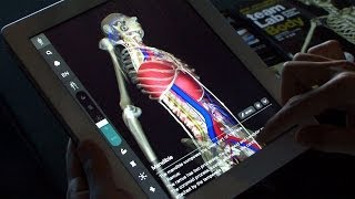 人間の骨格の動きまで再現する 3d人体解剖アプリ Teamlabbody Youtube