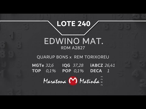 LOTE 240 Maratona Matinha