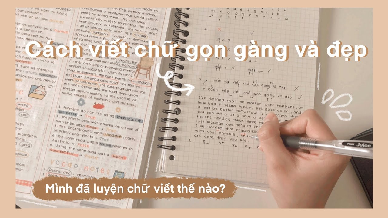 Bí quyết Cách viết chữ nhanh và đẹp Tăng hiệu quả khi viết