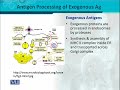 BT302 Immunology Lecture No 70