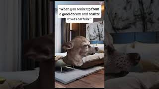 So sad #sad #dog #sadedit #crying #fyp