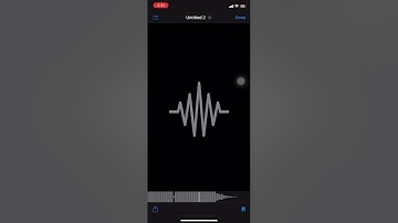 KB24 - Untitled (Snippet)