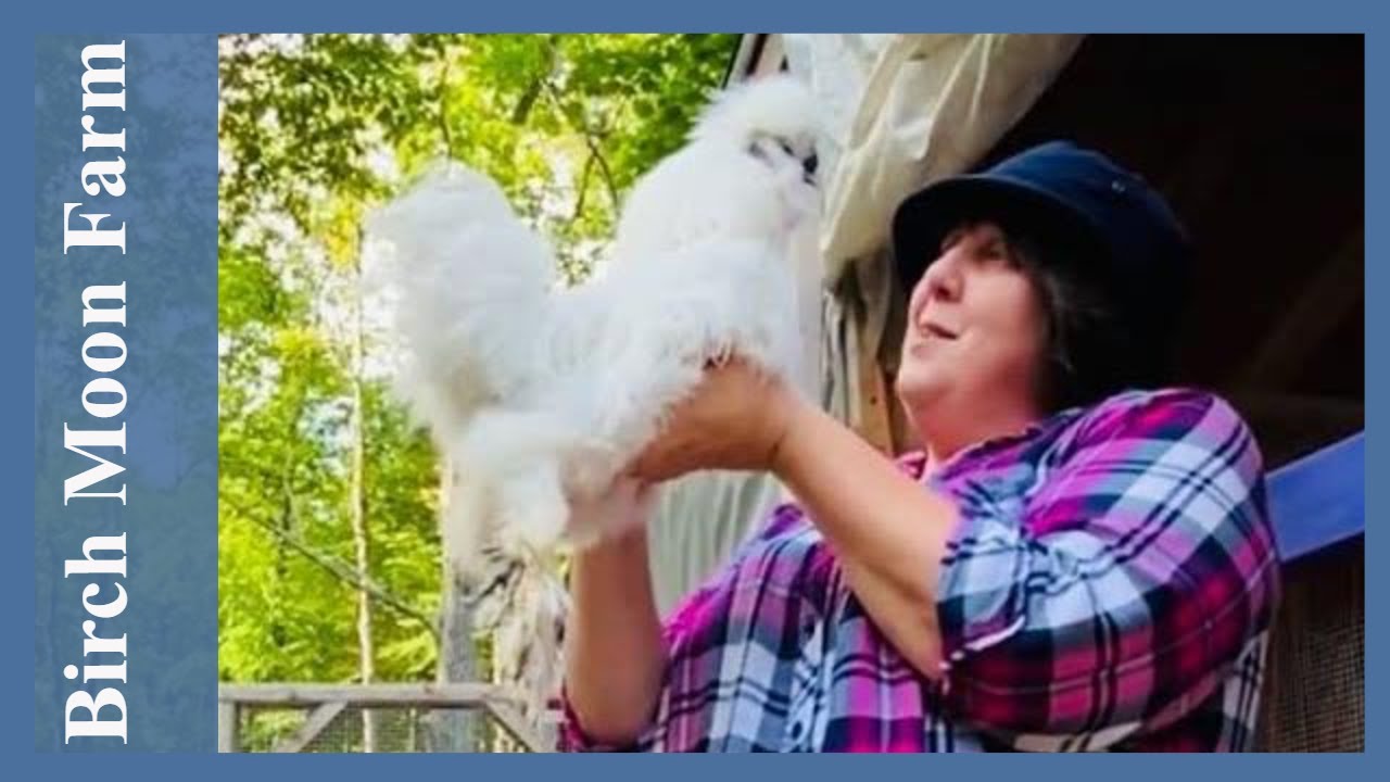 Moving Our CHICKENS Around