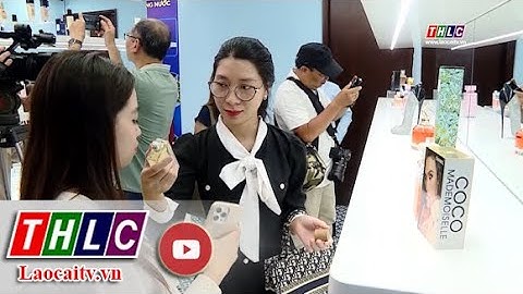 Trên 300 sản phẩm vi phạm được trưng bày để nhận diện | THLC