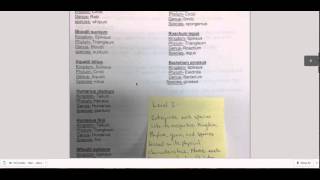 Taxonomy Project AP