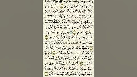 سورة التوبة من الآية ٧٣ إلى الآية ٧٩بصوت القارئ ماهر المعيقلي#غزه #مجزرة_جباليا #NoOilforIsrail