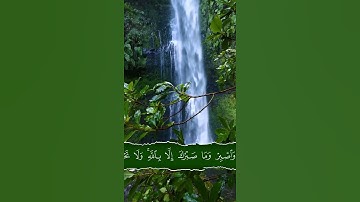 تلاوة مميزة للآية {وَاصْبِرْ وَمَا صَبْرُكَ إِلَّا بِاللَّهِ .. } #اسلام_صبحي
