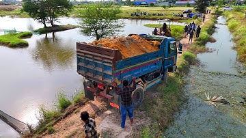 Be Watchful Processing Landfill Task Using Dump Truck 5T clear flood land & Dozer Push Soil,Mix VDO