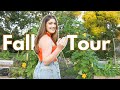 Full fall garden tour 2023 take the tour with me permaculture florida garden  zone 9