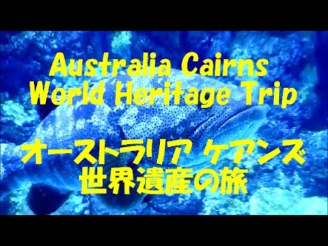 Australia Cairns World Heritage Trip オーストラリア　ケアンズ　世界遺産の旅　＃ケアンズ＃オーストラリア＃世界遺産＃グレートバリアリーフ