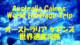 Australia Cairns World Heritage Trip オーストラリア　ケアンズ　世界遺産の旅　＃ケアンズ＃オーストラリア＃世界遺産＃グレートバリアリーフ