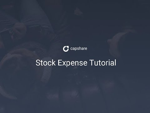 Shareworks Startup / Capshare Stock Option Expense Tutorial