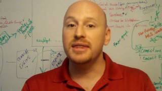 Intro to AppMakr: easy, expert iPhone apps from RSS and rich-content media you already create