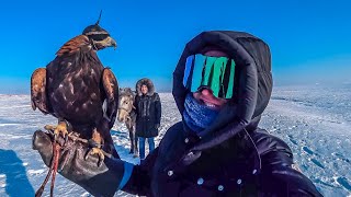 Astana. EXPO. KHL. Kazakhstan. IPhone X on a cold day for 7 hours. Hunting with a golden eagle