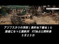 アゾフスタリの深部（通称地下墓地）と廃墟になった製鉄所　RT独占公開映像（5月25日）