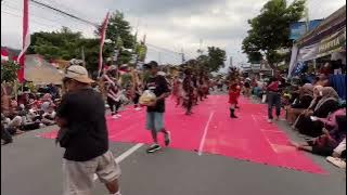 DAYAK APACHE MACAN PUTIH CAMPURDARAT 2025