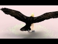 Quebrantahuesos 3d