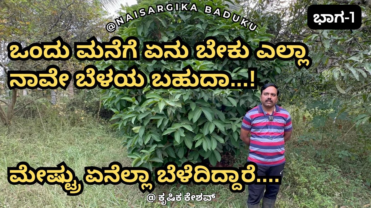 ಒಂದು ಮನೆಗೆ ಏನು ಬೇಕು ಎಲ್ಲಾ ನಾವೇ ಬೆಳಯ ಬಹುದಾ |ಮೇಷ್ಟ್ರು ಏನೆಲ್ಲಾ ಬೆಳೆದಿದ್ದಾರೆ |ನೈಸರ್ಗಿಕ ಕೃಷಿ Part-1🇮🇳💛❤️