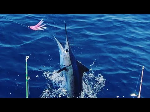 Kit Pesca A Traina - 3 Esche Artificiali Per Tonno E Aguglia Imperiale, Con Ami In Acciaio - Foto 7