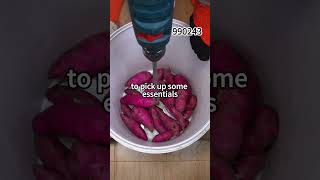 5sp4990243_my184