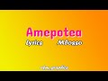 Amepotea - Mbosso (Lyric Video)