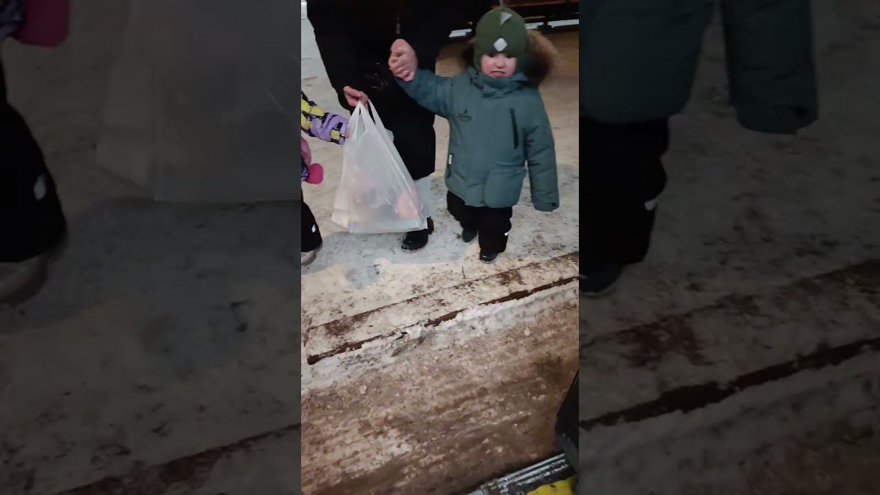 29 декабря 2025 г.