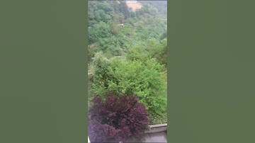 سورة العلق بصوت الشيخ خالد القحطاني - تلاوة تهز القلوب”