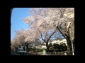 みんなのうた おなかのへるうた