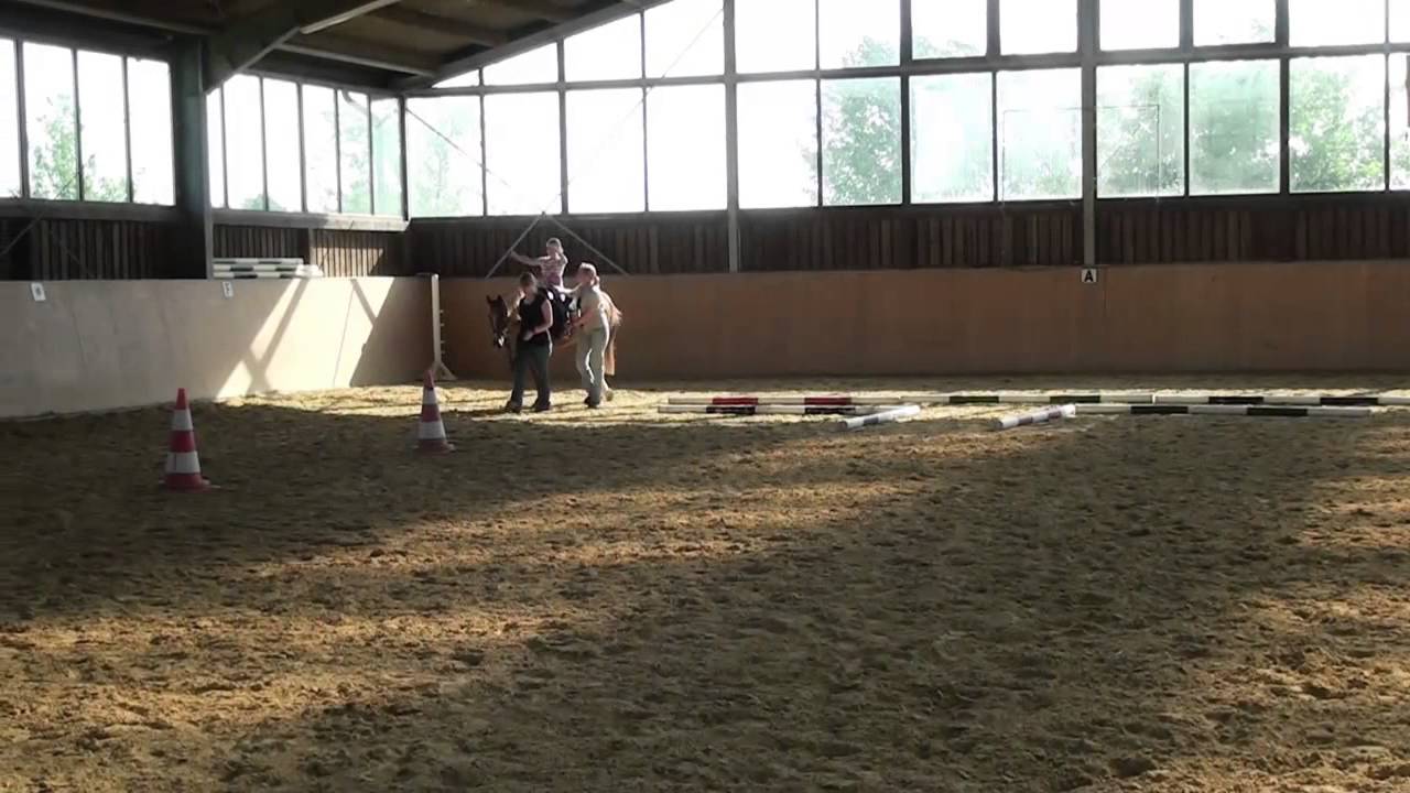 Therapeutisches Reiten , Hippotherapie in Wesel / Hamminkeln