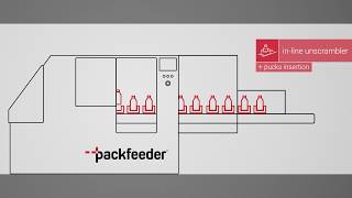 Bottle Unscrambler - Packfeeder Inline Series Unscrambler 1080