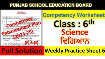 pseb competency based paper class 6th science worksheet 6 test 2024