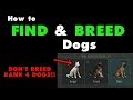How to Find and Breed Dogs in Last Day on Earth Survival. LDOE puppy food