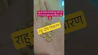 राहु दोष से परेशान है? कच्चे दूध और जो का ये उपाय बदल देगा किस्मत#Rahu upay#trending#shortvideo#vi🙏
