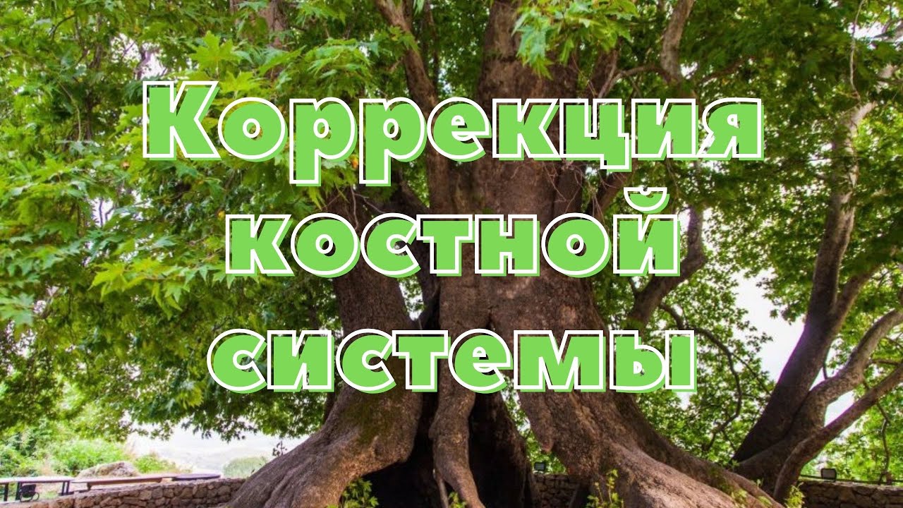 Матрица гаряева исцеление сосудов. П.Гаряев матрица исцеления костно -мышечной системы. Матрица Гаряева исцеление костей сосудов мышц. Матрица Гаряева коррекция костно мышечной системы. Матрица Гаряева для суставов.