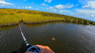 Attack of the rats! (Red-fishing the Ms Gulf coast!)