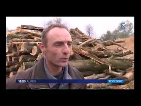 Inauguration Pôle Bois Energie de Goncelin (38) reportage  France 3 Alpes